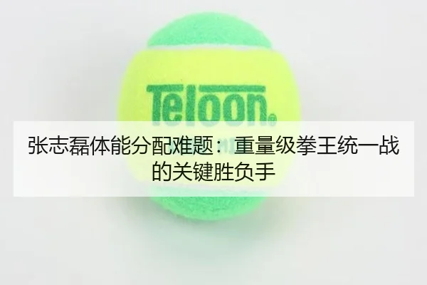 张志磊体能分配难题：重量级拳王统一战的关键胜负手