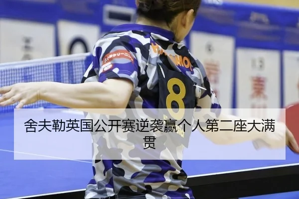 she-fu-lei-ying-guo-gong-kai-sai-ni-xi-ying-ge-ren-di-er-zuo-da-man-guan-2-763.jpg