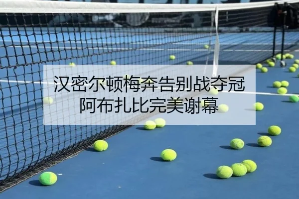 han-mi-er-dun-mei-ben-gao-bie-zhan-duo-guan-a-bu-zha-bi-wan-mei-xie-mu-3-133.jpg